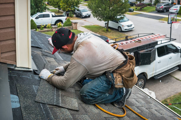 Professional Roof Inspection technician working in Emington, IL